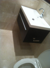 Bathroom vanity toilet
