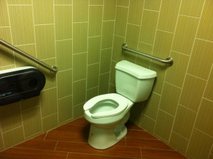 Washroom 5 toilet