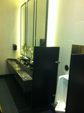 Washroom 7 stone sink and urinal